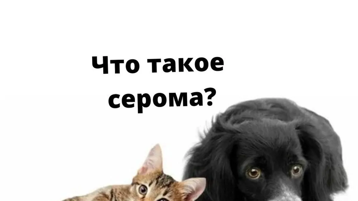 Что такое серома?